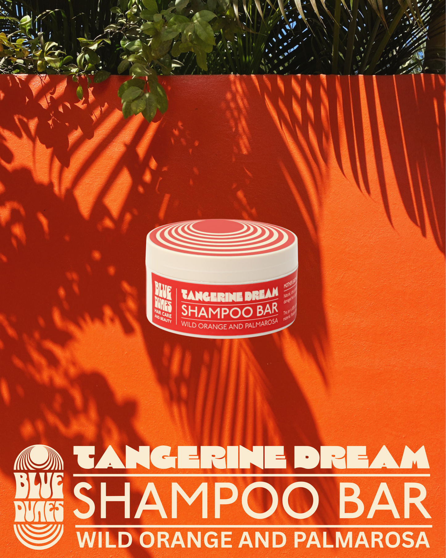 Tangerine Dream Detoxifying Shampoo Bar